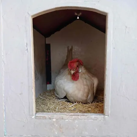 Urban Farm Experience Germogli Farm Bari