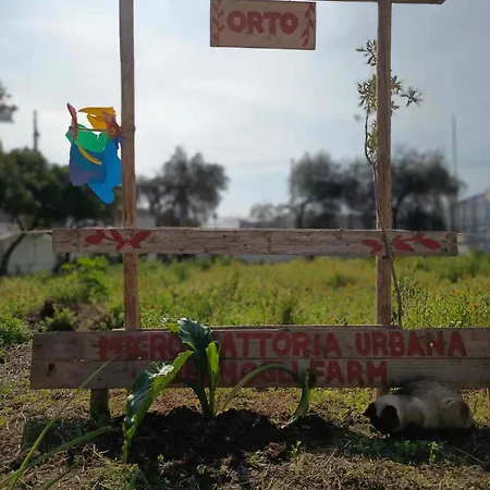 Urban Farm Experience Germogli Farm * Bari