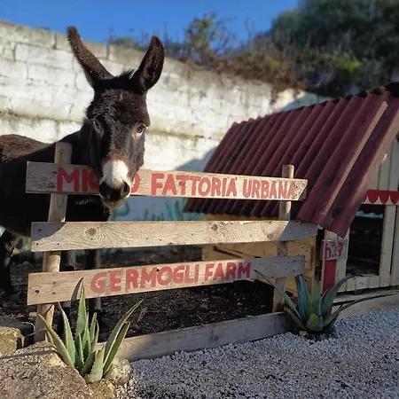 Apartment Urban Farm Experience Germogli Farm *